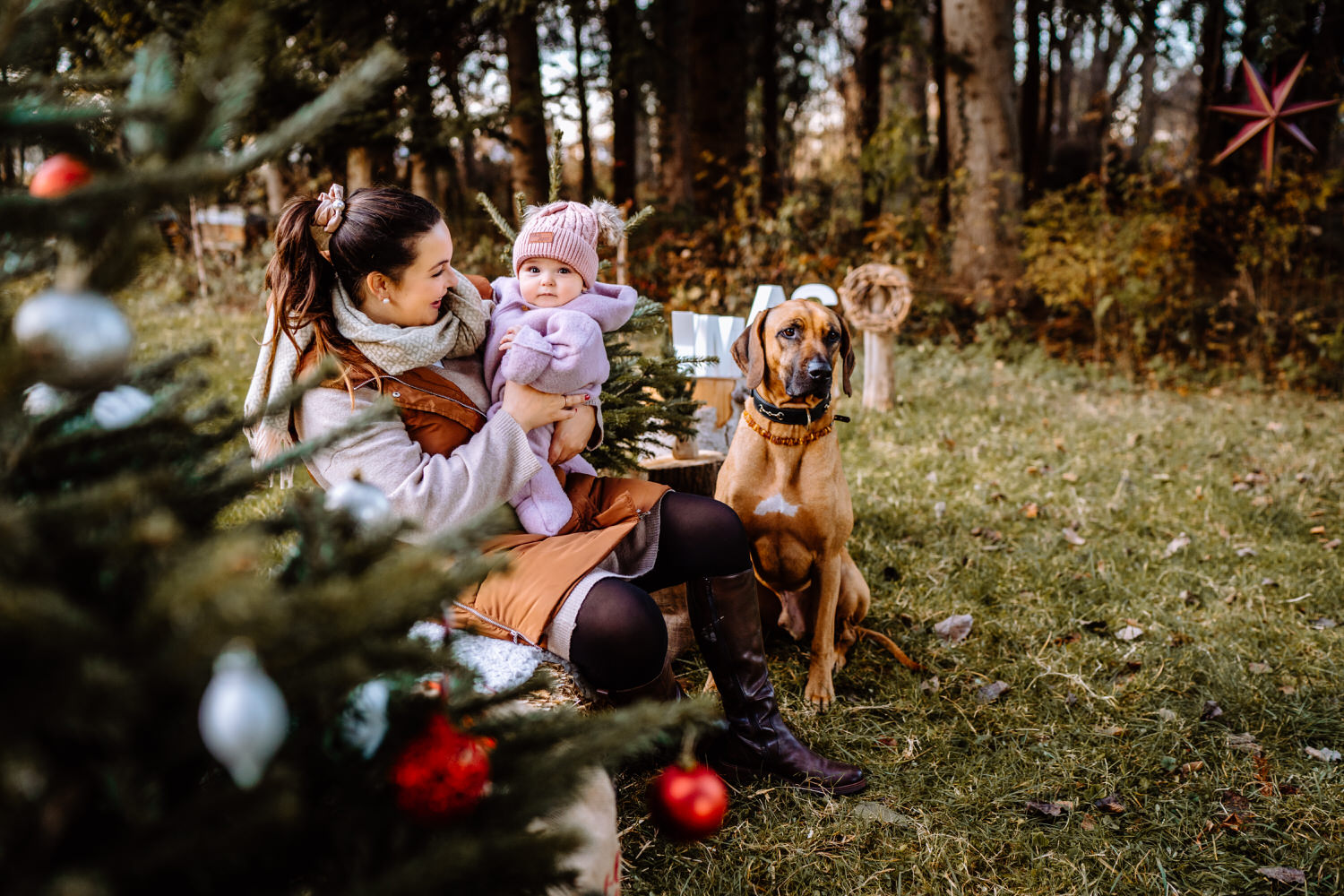 Weihnachtsfotos mit dem Hund als Haustier in Weilheim