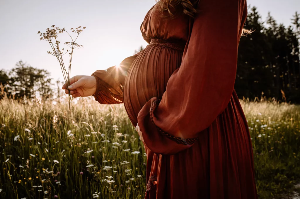 Wundervolle Babybauchfotos in der Abendsonne in einem Feld